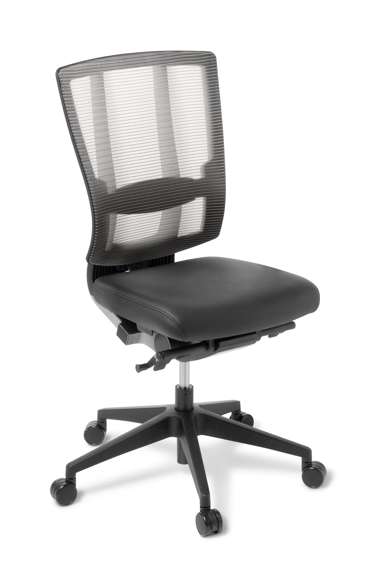 Eden Cloud Ergo Chair