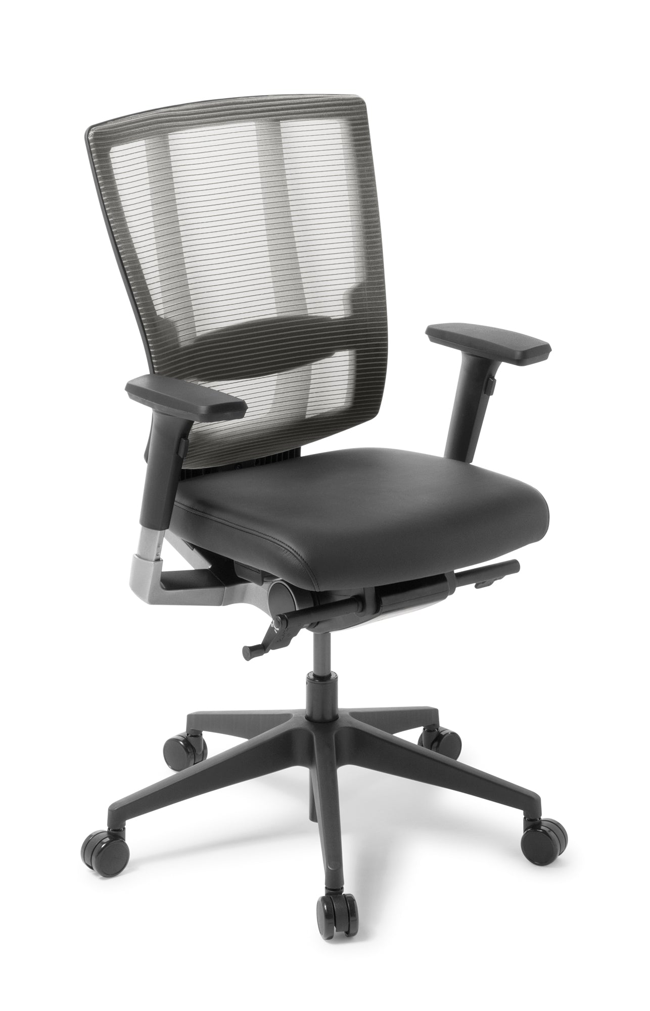 Eden Cloud Ergo Chair