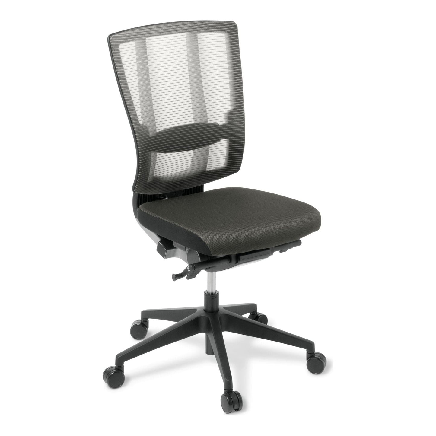 Eden Cloud Ergo Chair