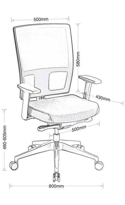 Eden Media Ergo w/Lumbar Support Chair