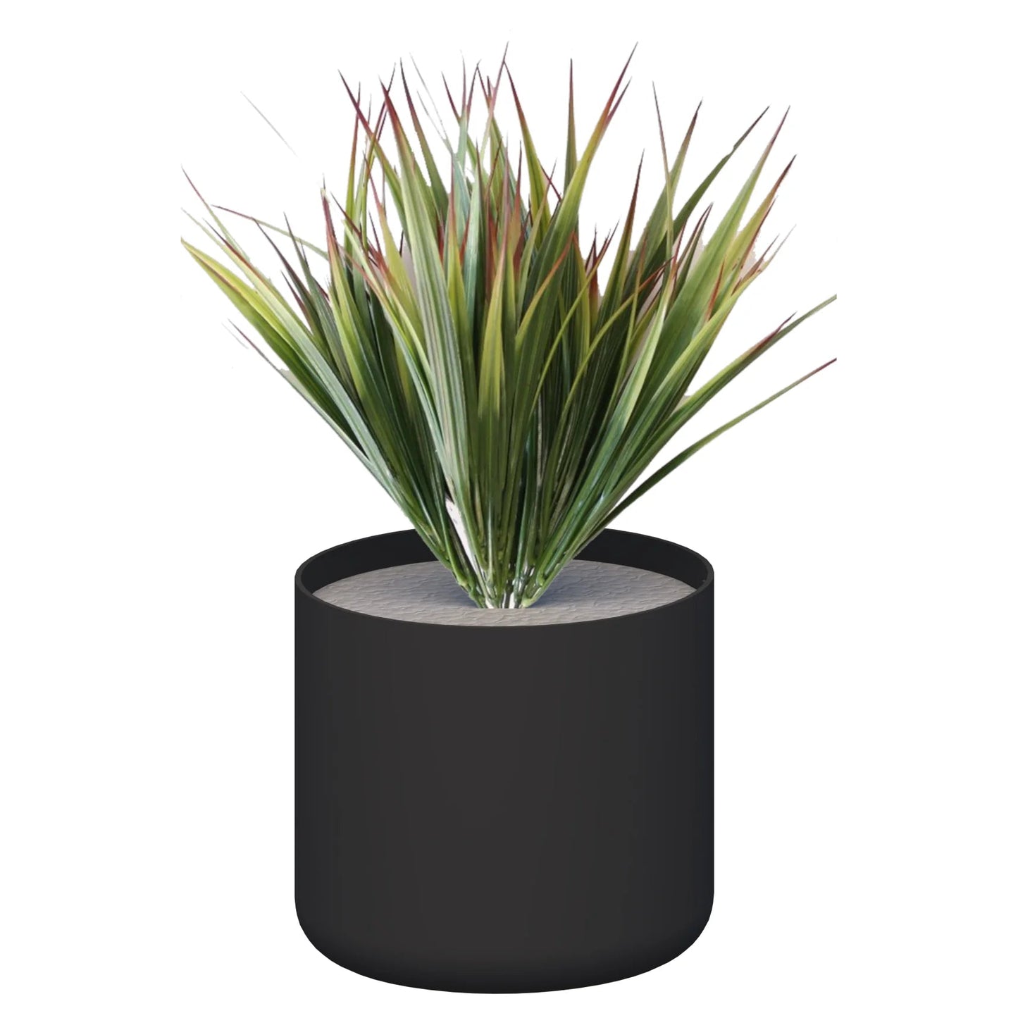 Premium Pots inc Grasses