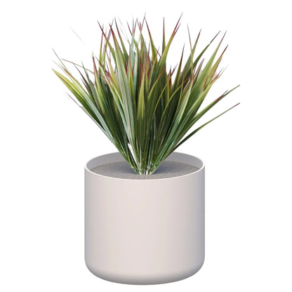 Premium Pots inc Grasses