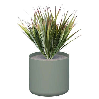 Premium Pots inc Grasses