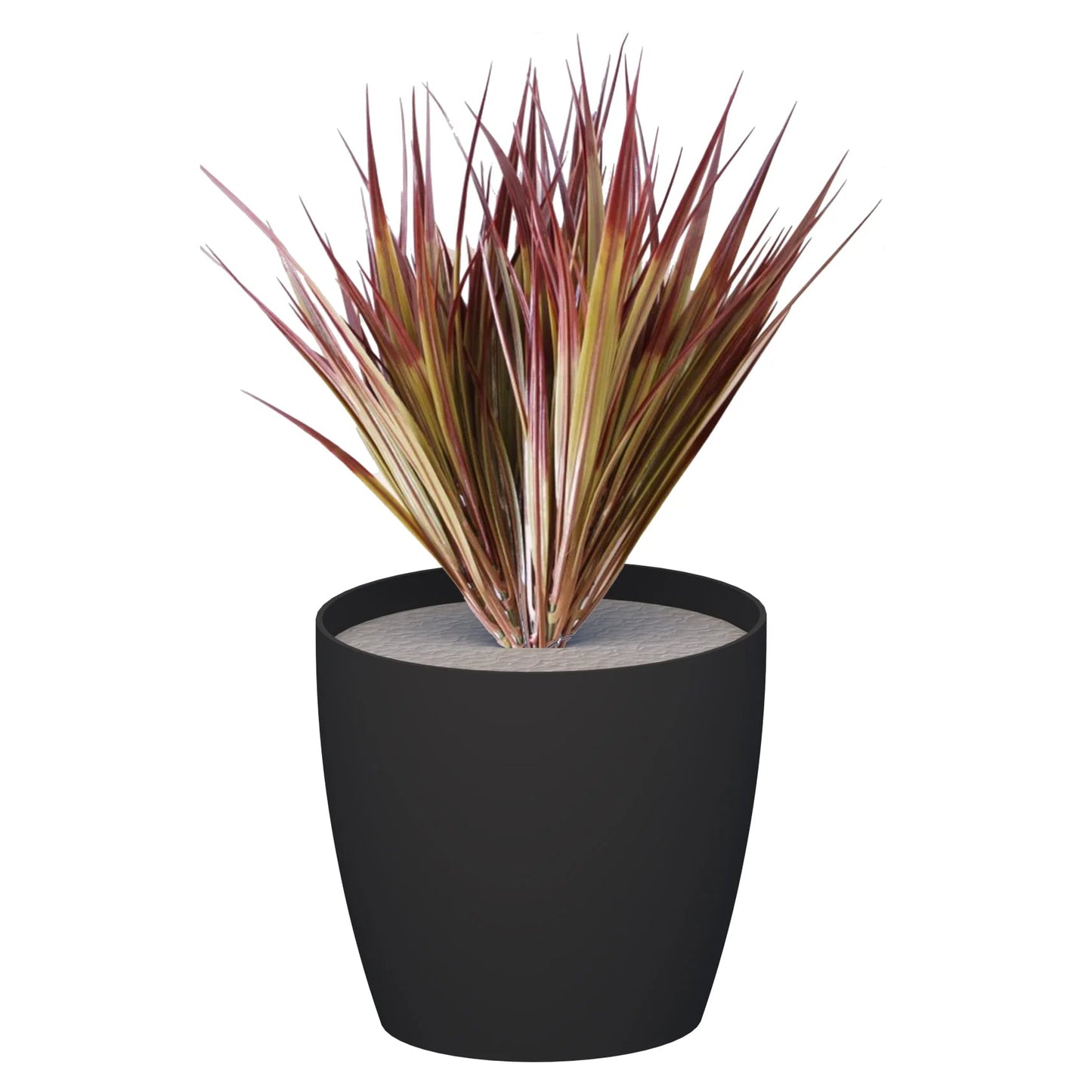 Premium Pots inc Grasses