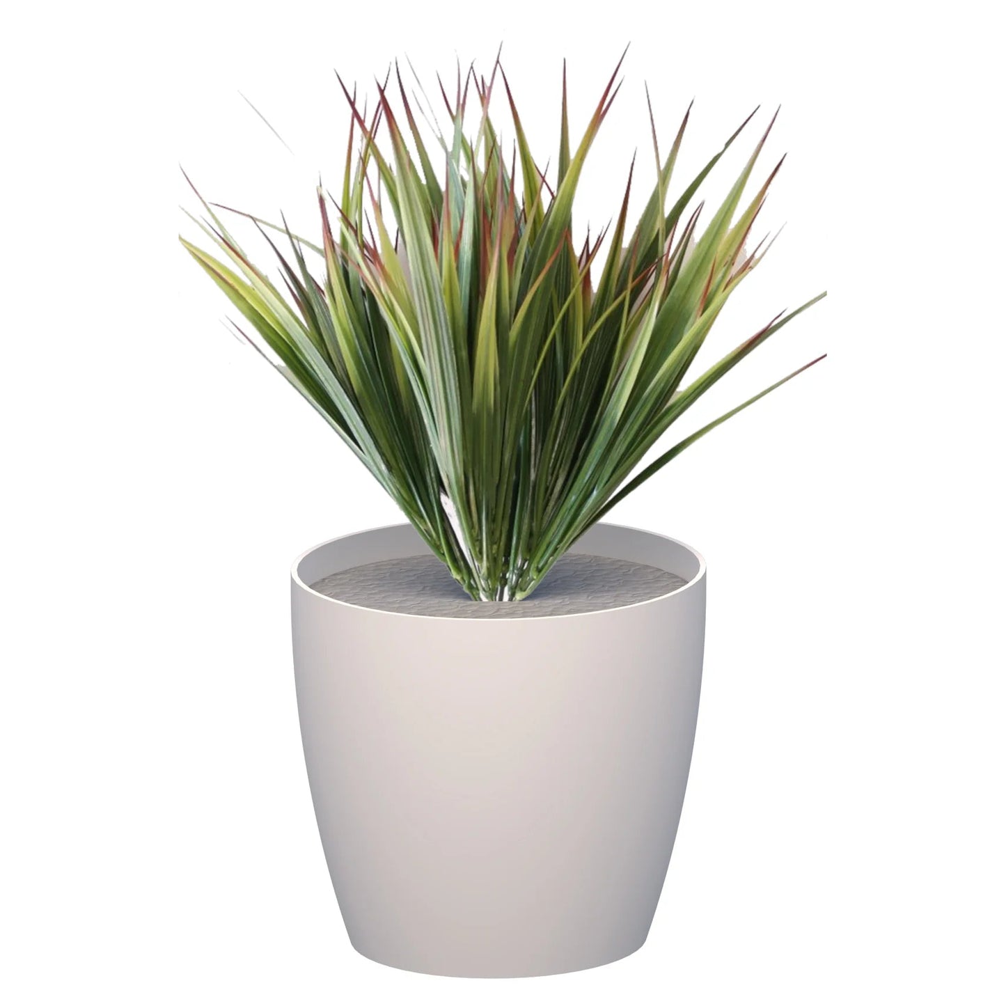 Premium Pots inc Grasses