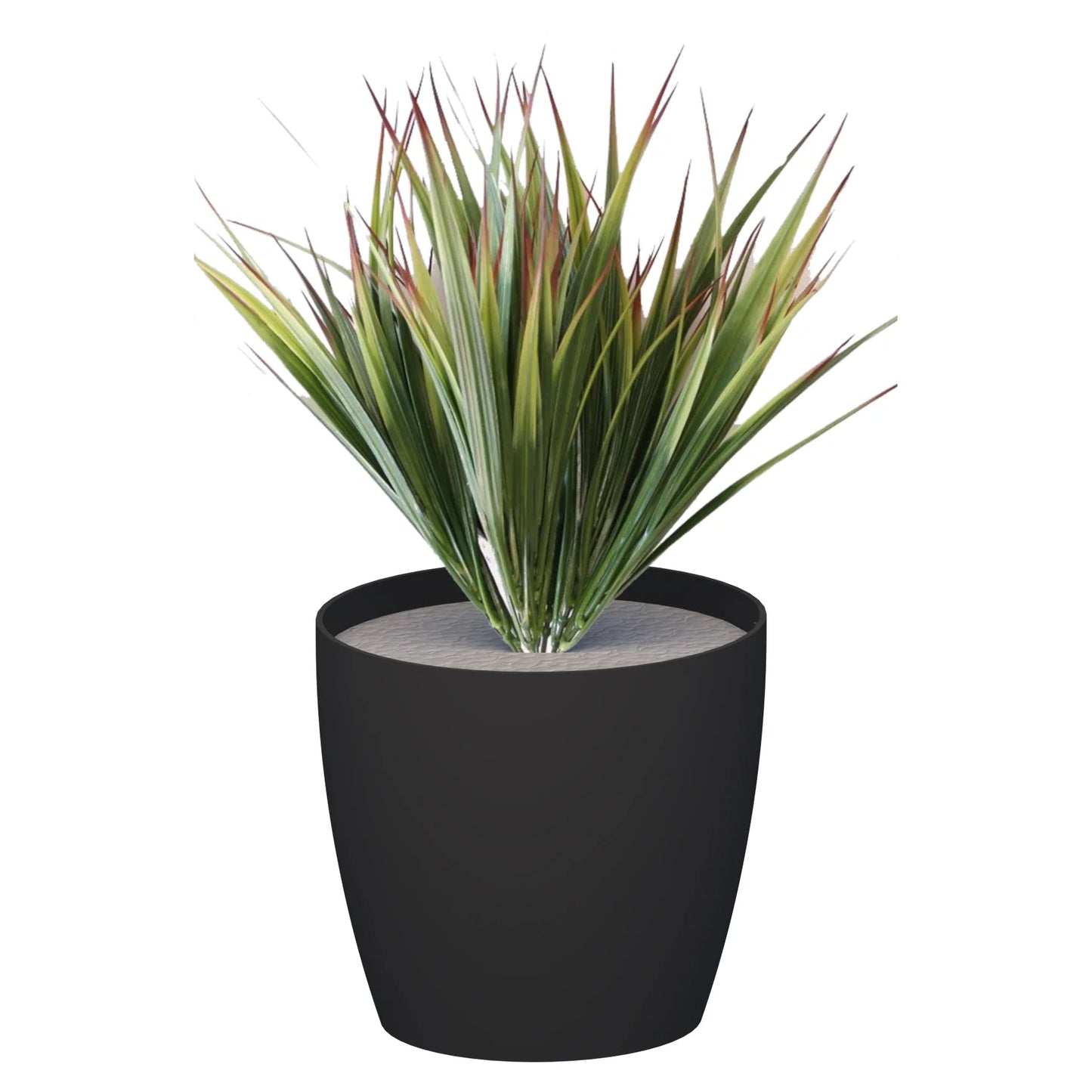 Premium Pots inc Grasses