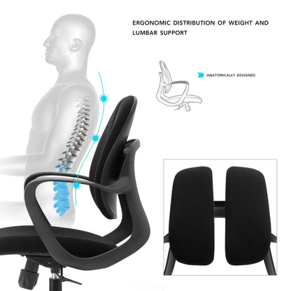 Splitz Ergonomic Chair